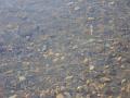 Clear water